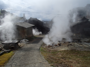 steam cooking area