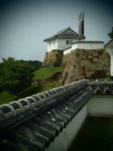 Tomioka Castle