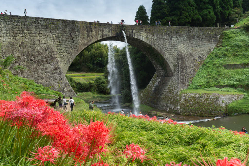 tsujunkyo bridge with spider lilies in September