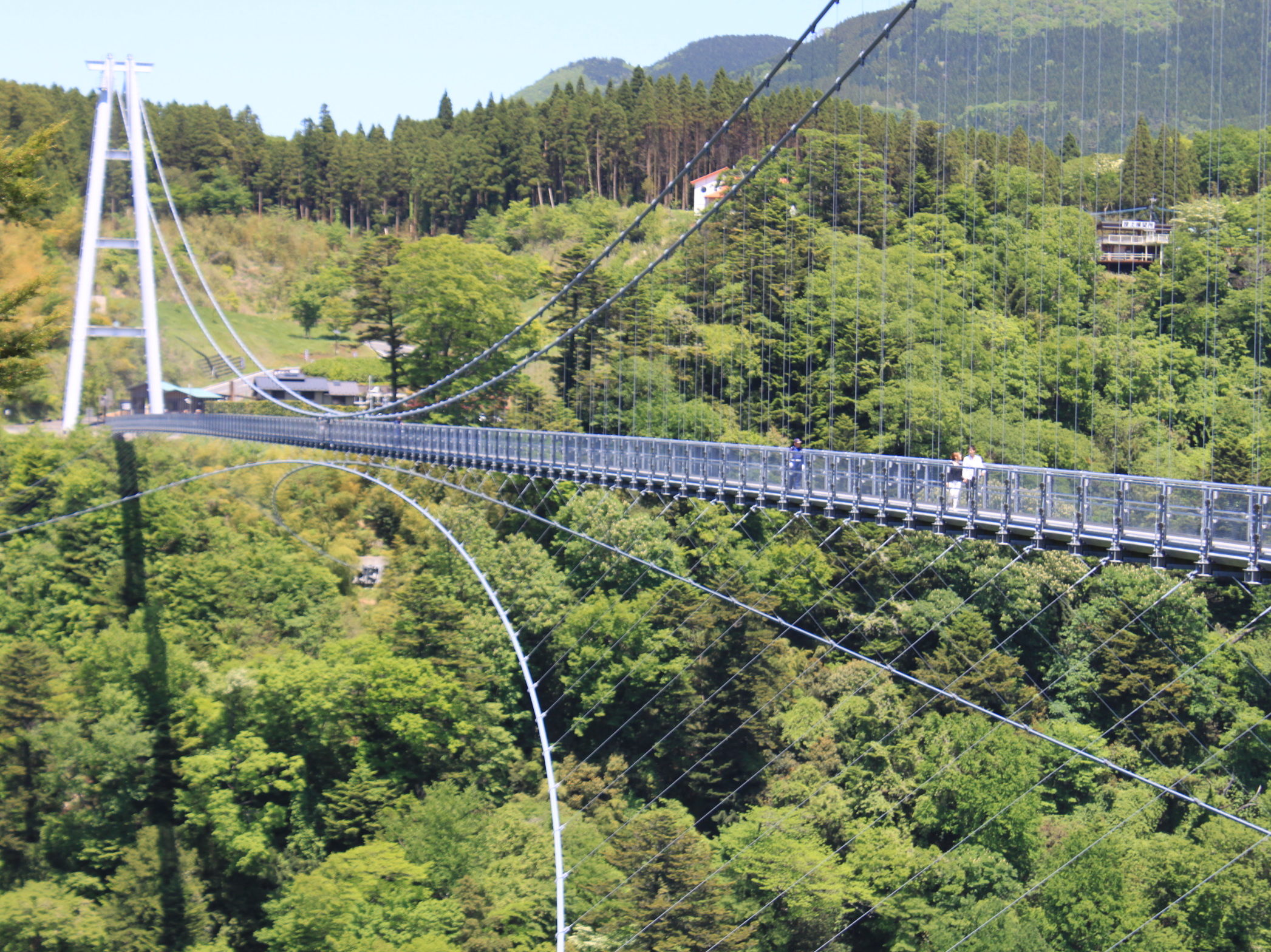 Kokonoe Yume Suspension Bridge 九重“夢”大吊橋 - Explore Kumamoto