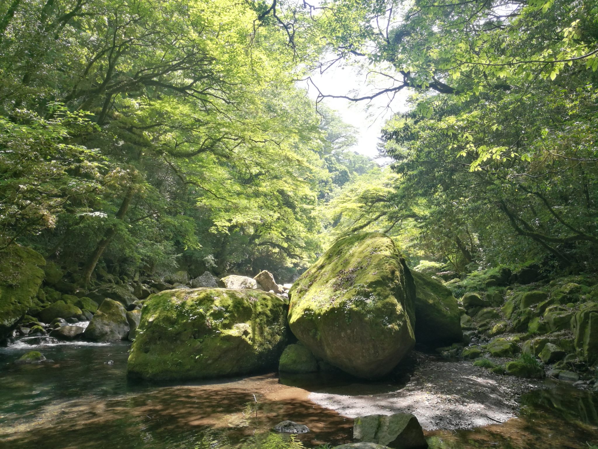 Kikuchi gorge in late spring kikuchi gorge and mount aso tour