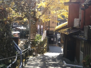 Kurokawa Onsen village in autumn, Kurokawa onsen tour Kyushu top onsen village