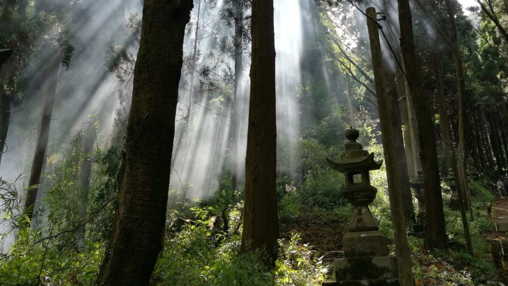 kamishikimi shrine light aso tour summen