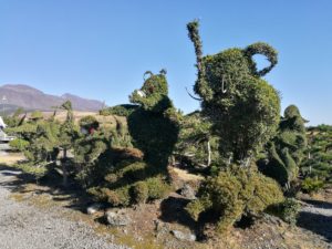 Kumamoto English tour - topiary spot