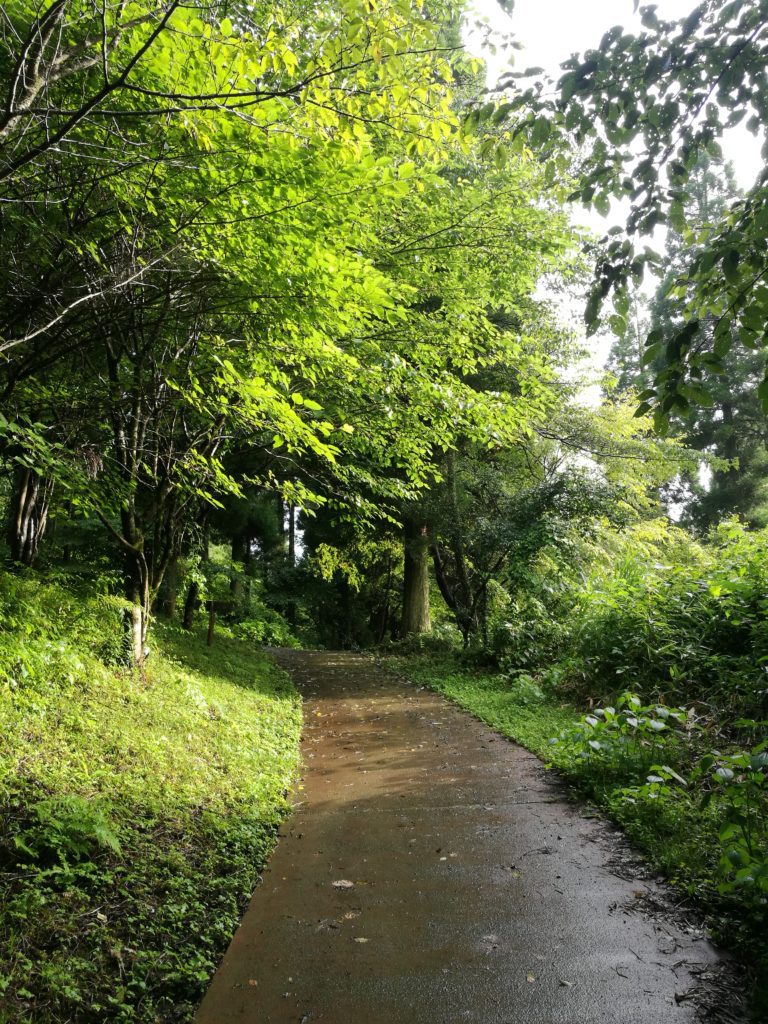 walk to Yamabuki spring