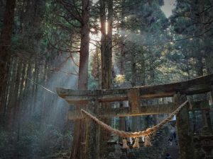 Explore Kumamoto Power spots