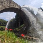 Higanbana Tsujunkyo bridge