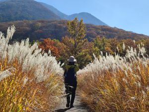 Kuju grasslands chojabaru