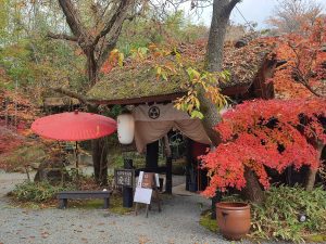 autumn leaves in Kurokawa onsen