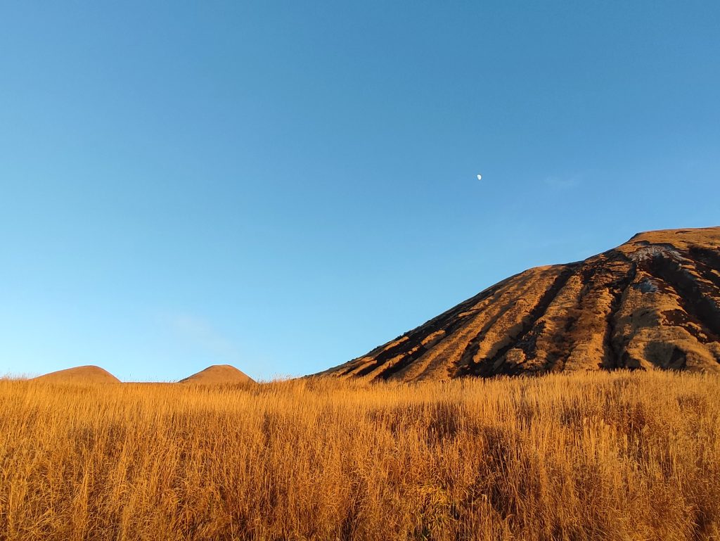 Kumamoto in winter - golden grasslands of Aso