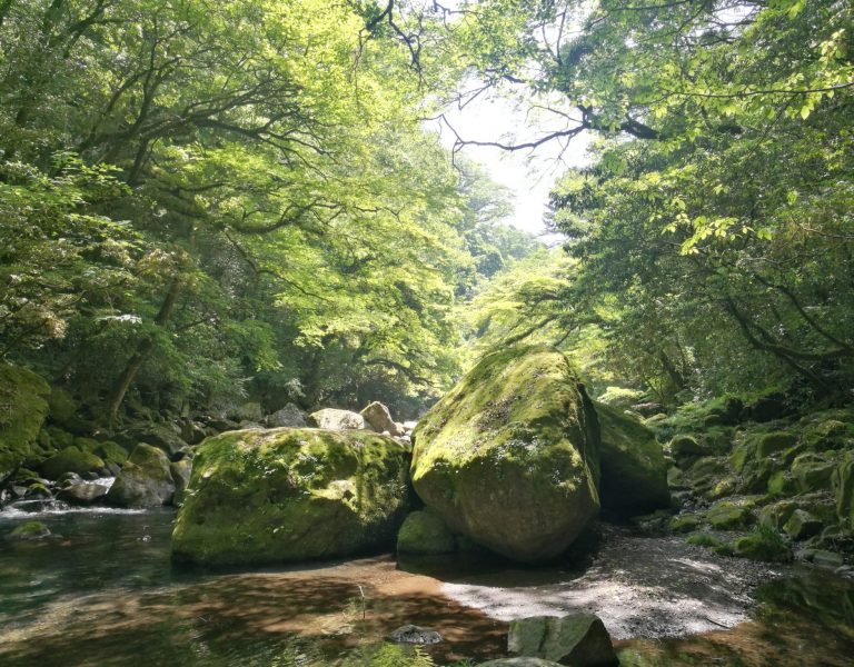 Kikuchi gorge in late spring kikuchi gorge and mount aso tour