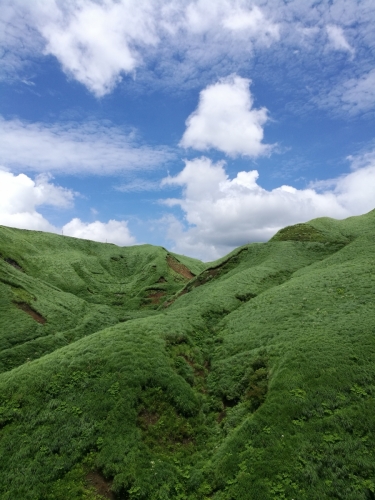 Aso grasslands summer