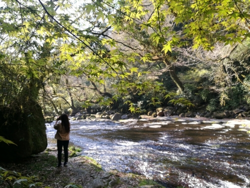 Kikuchi gorge spring