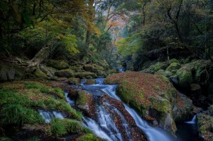 Kikuchi valley autumn