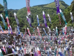 Koinobori_in_Tsuetate_Onsen_May_2014_02