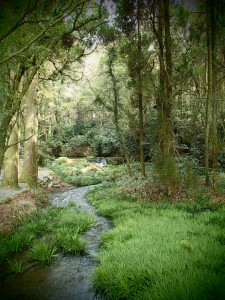 Ikeyama spring winter