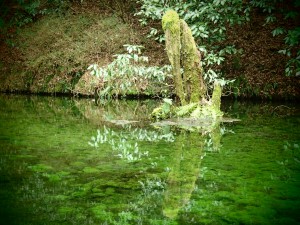 Ikeyama spring winter