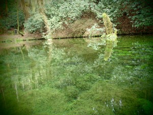 Ikeyama spring winter