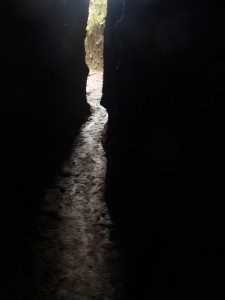 through the fissure   