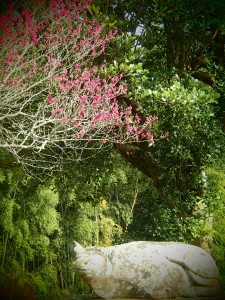 cow and plum blossom   
