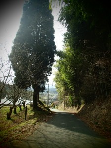 road back to the village   