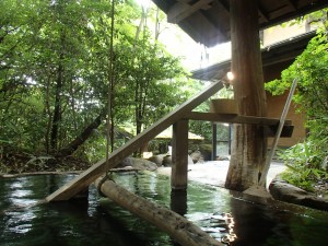 Standing bath Kounoyu Onsen 