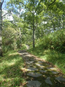 Path to Sparrow Hell   