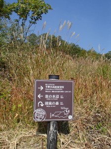 Footpath sign   