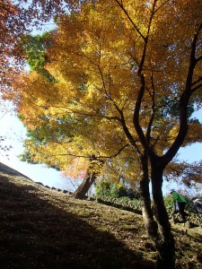 Hitoyoshi autumn