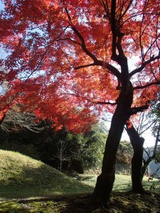 Hitoyoshi autumn