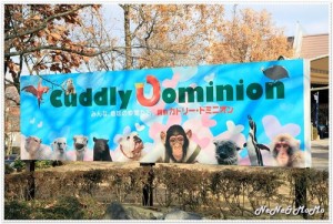 Cuddly Dominion     